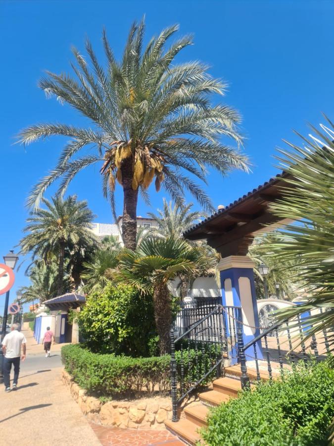 Ferienwohnung La Dama Torrevieja Exterior foto